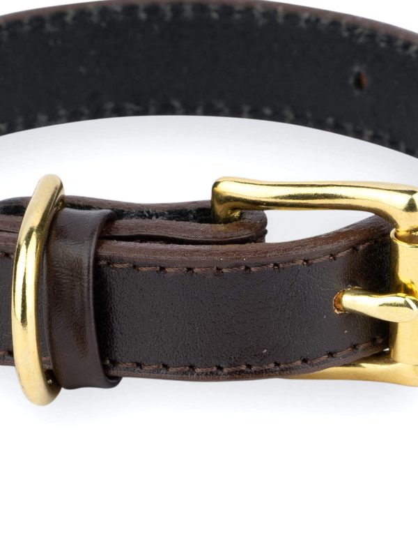 brown leather dog collar with brass buckle 2
