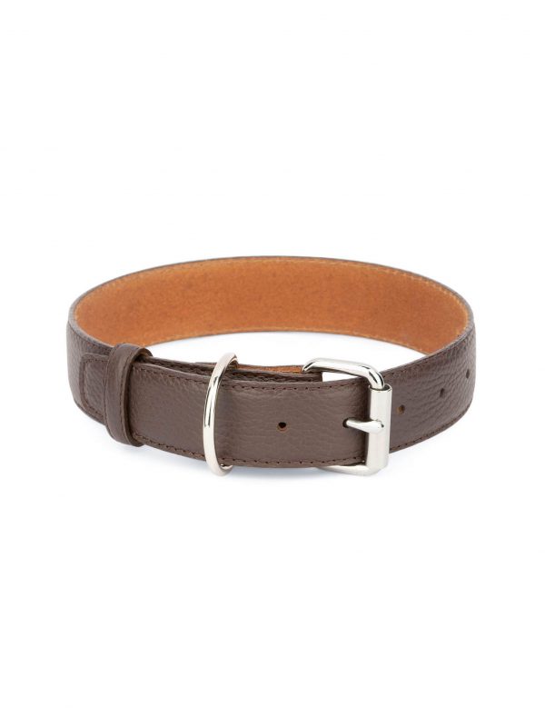 brown leather dog collar with roller buckle 1