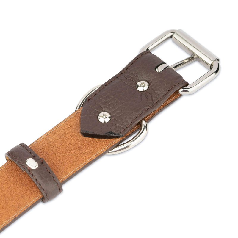 brown leather dog collar with roller buckle 3