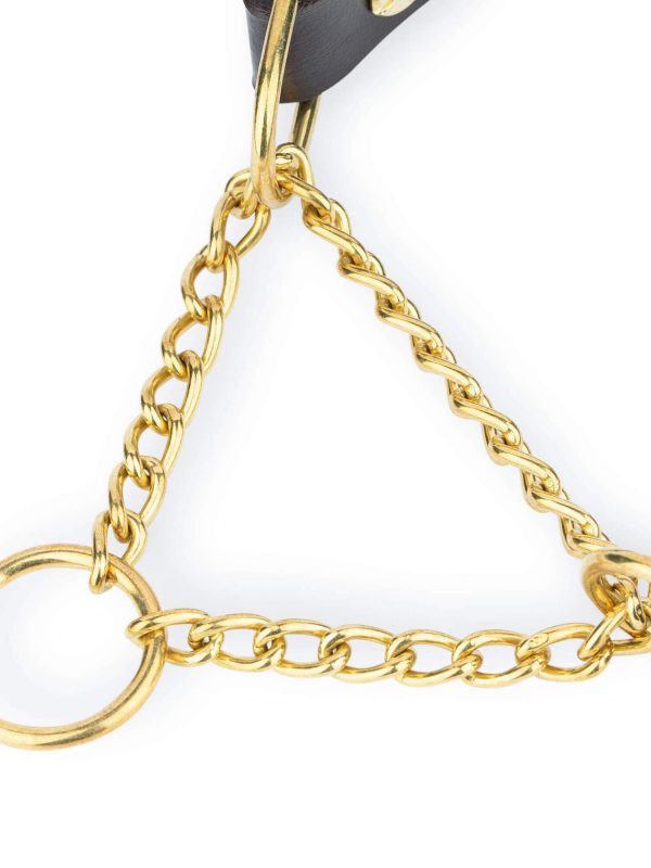 brown martingale dog collar gold brass chain 2