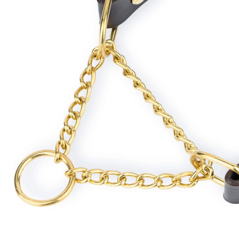 brown martingale dog collar gold brass chain 2