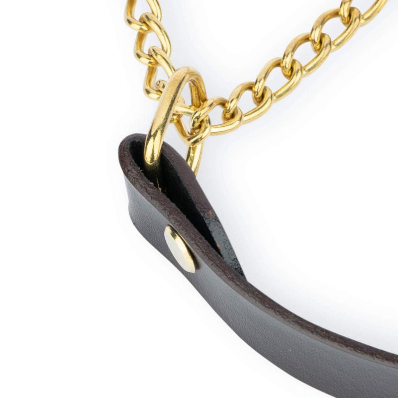 brown martingale dog collar gold brass chain 3
