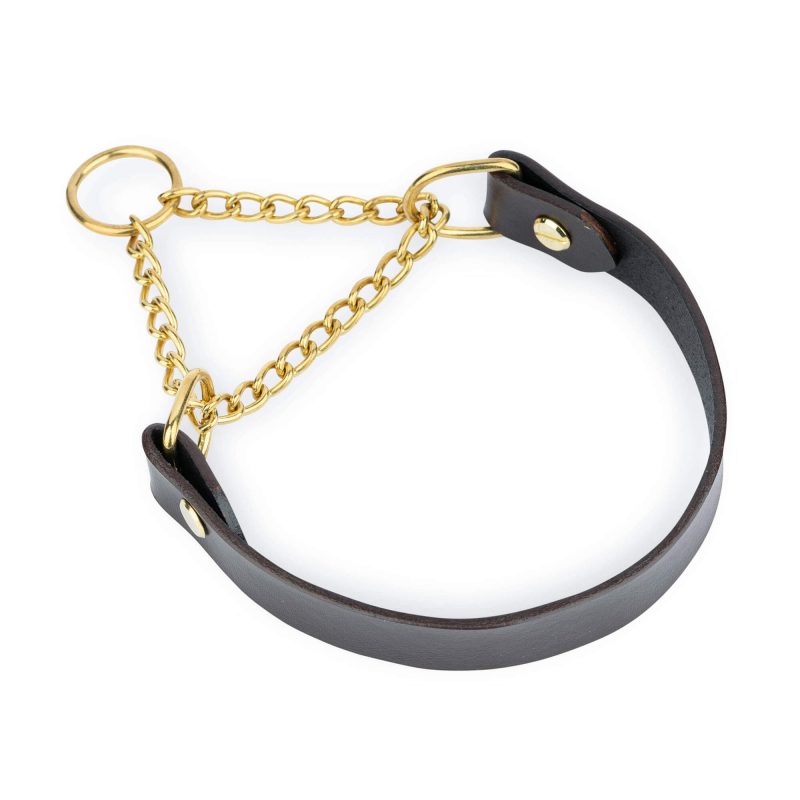 brown martingale dog collar gold brass chain 4