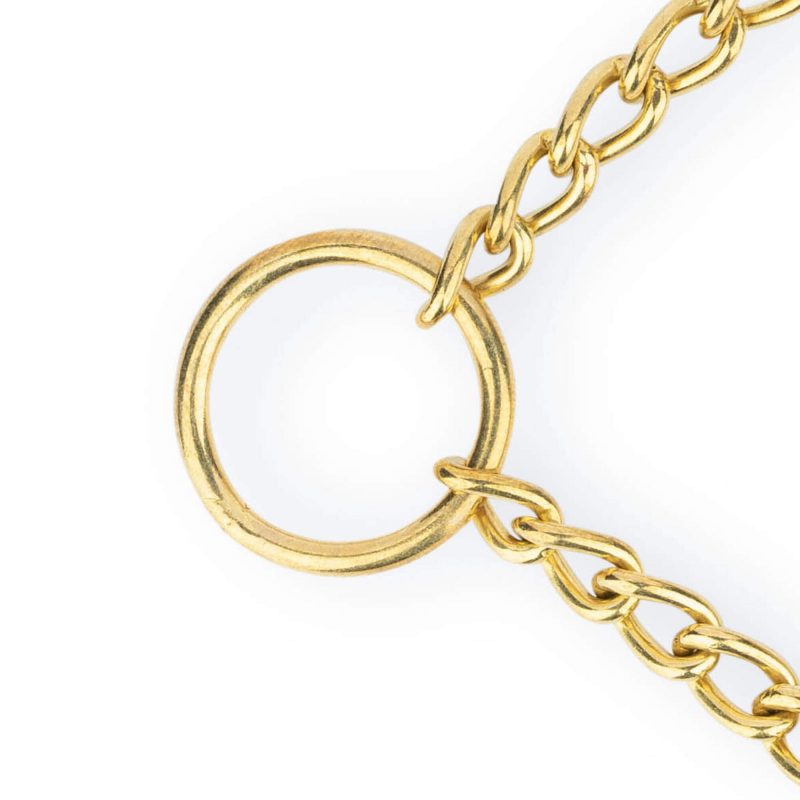 brown martingale dog collar gold brass chain 5