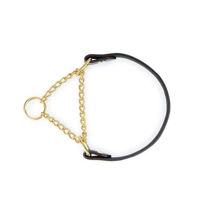brown martingale dog collar gold brass chain 6
