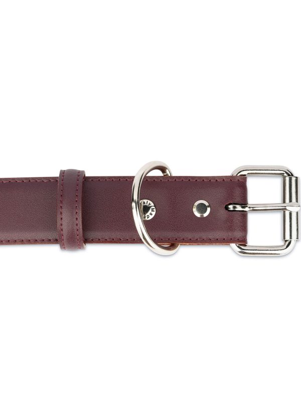 burgundy leather martingale dog collar with chain 2