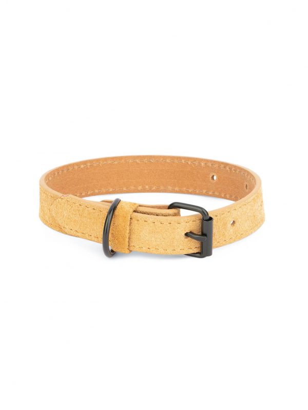camel suede leather dog collar with black buckle 1