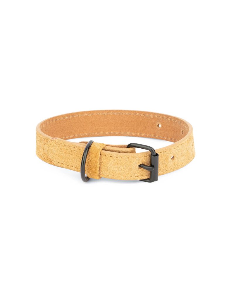 camel suede leather dog collar with black buckle 1