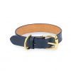 dark blue dog collar with gold buckle 1