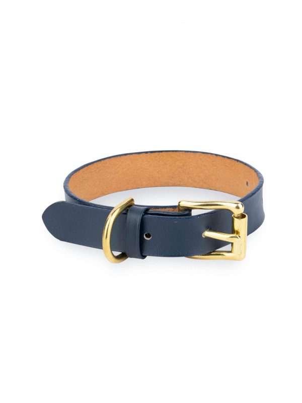 dark blue dog collar with gold buckle 1