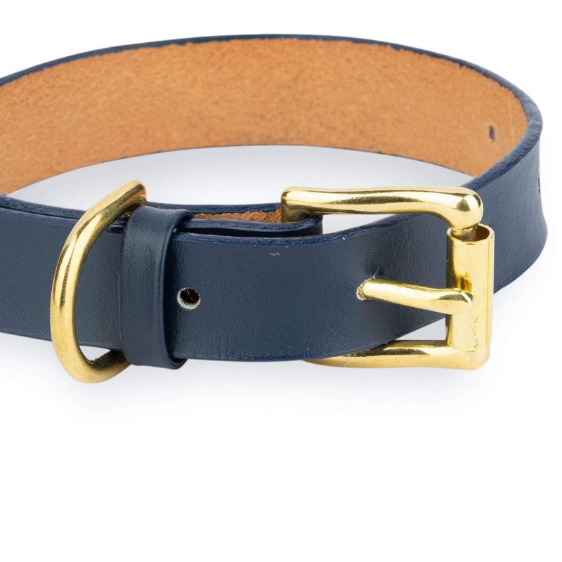 dark blue dog collar with gold buckle 2