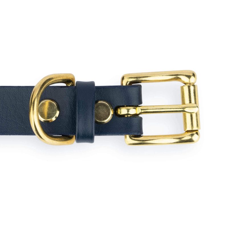 dark blue dog collar with gold buckle 3