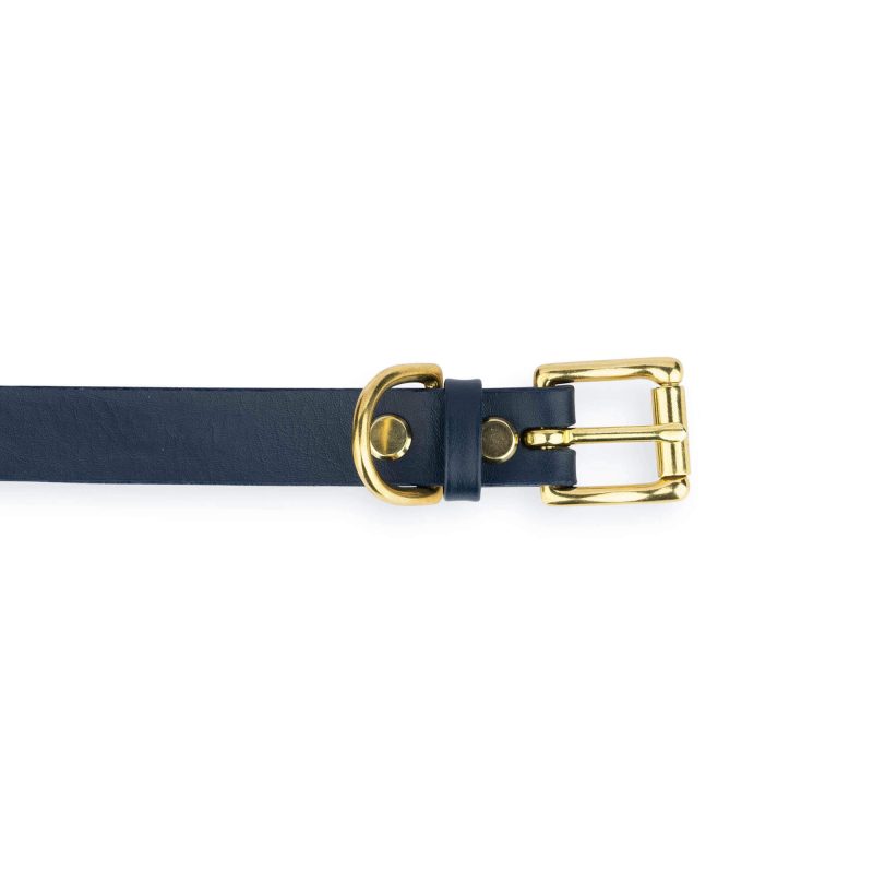 dark blue dog collar with gold buckle 4