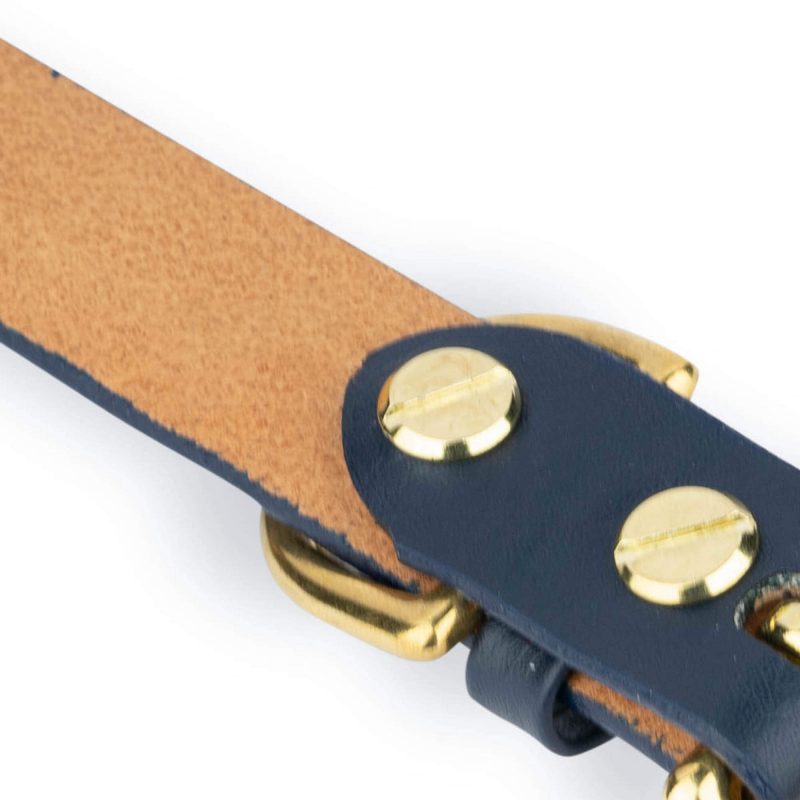dark blue dog collar with gold buckle 5