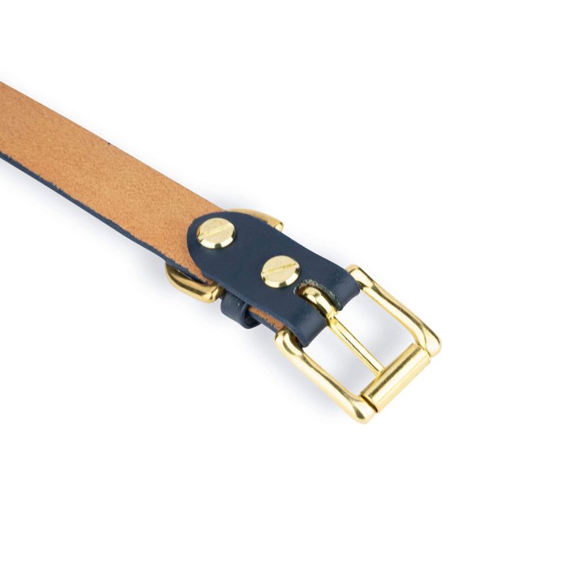 dark blue dog collar with gold buckle 6