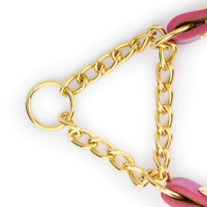 fuchsia leather dog collar martingale with gold chain 3