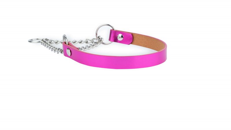 fuchsia leather dog collar with silver martingale chain 4