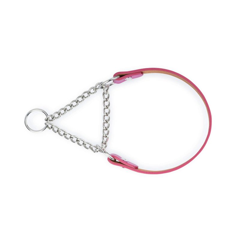 fuchsia leather dog collar with silver martingale chain 6
