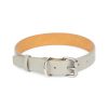 gray dog collar with silver roller buckle 1