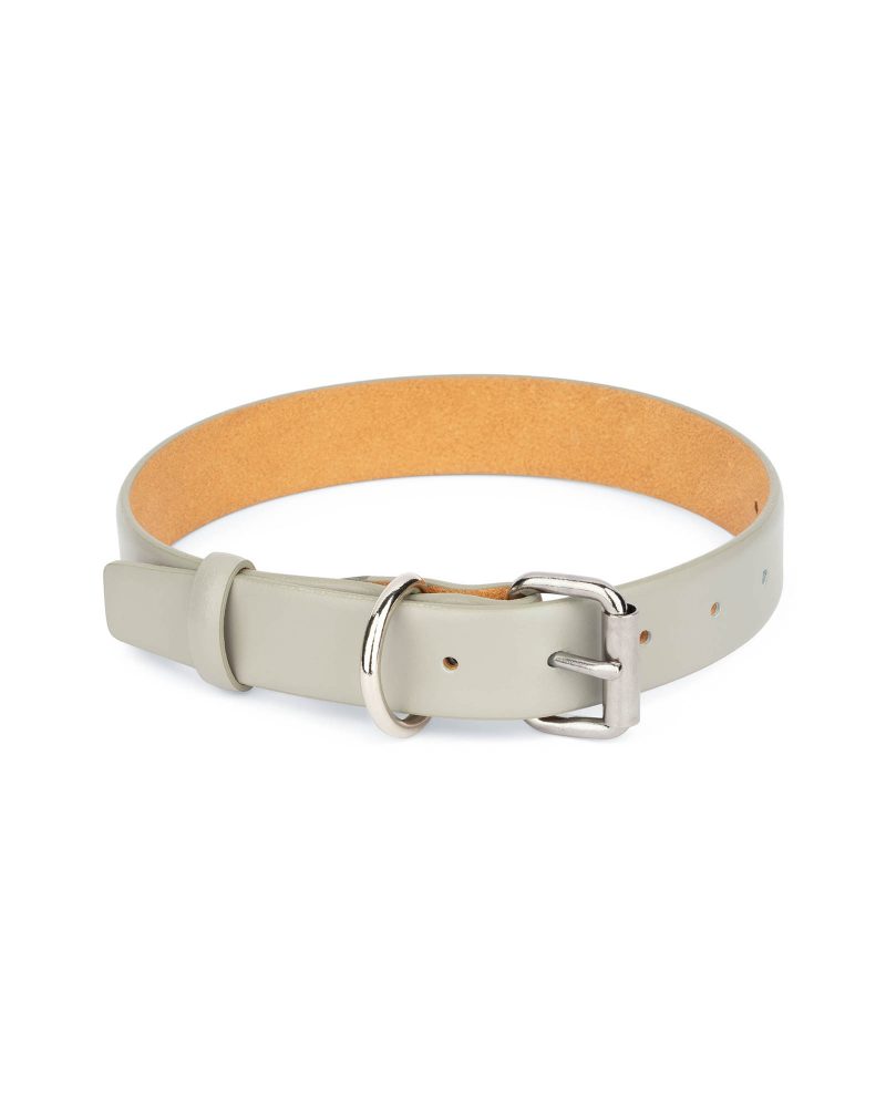 gray dog collar with silver roller buckle 1