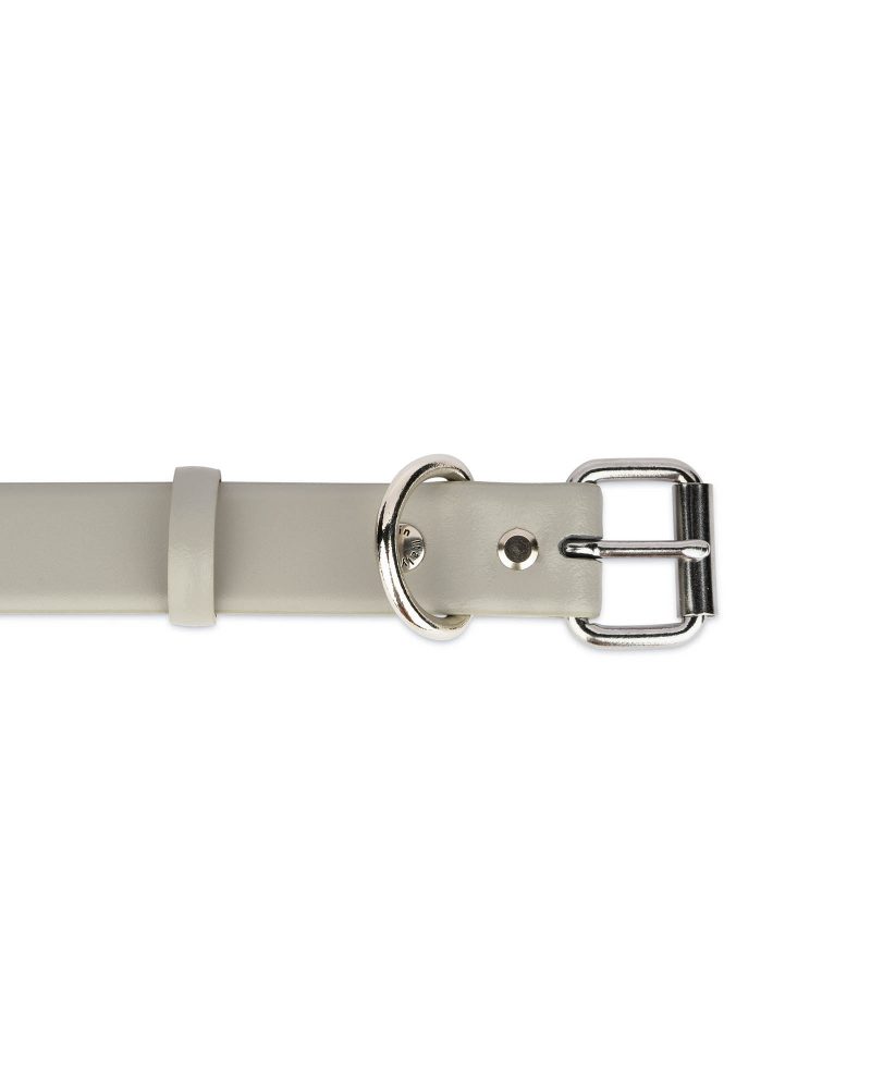 gray dog collar with silver roller buckle 2