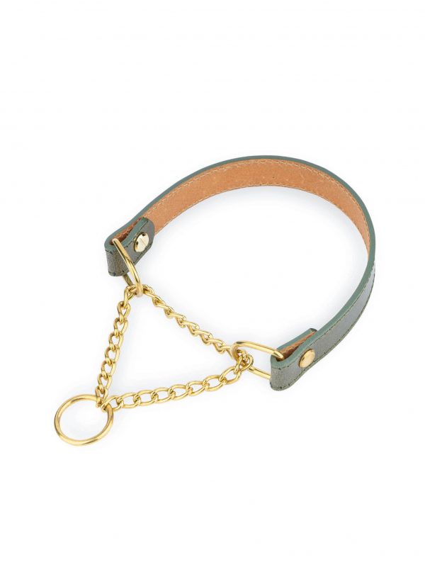 green dog collar gold chain martingale 1