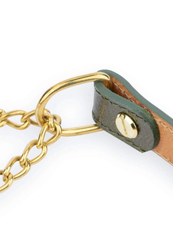 green dog collar gold chain martingale 2