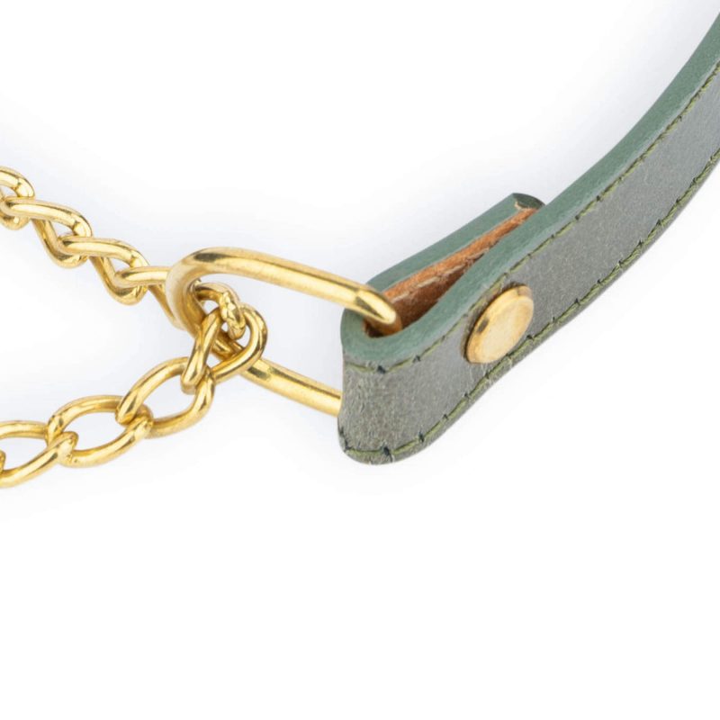 green dog collar gold chain martingale 3
