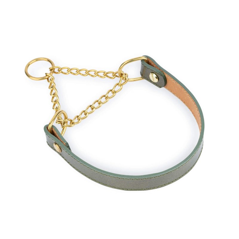 green dog collar gold chain martingale 4