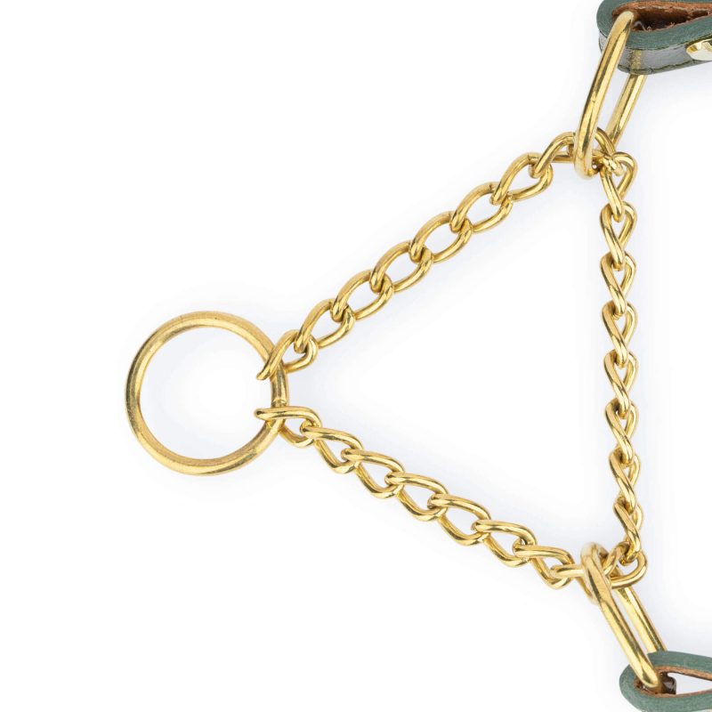 green dog collar gold chain martingale 5