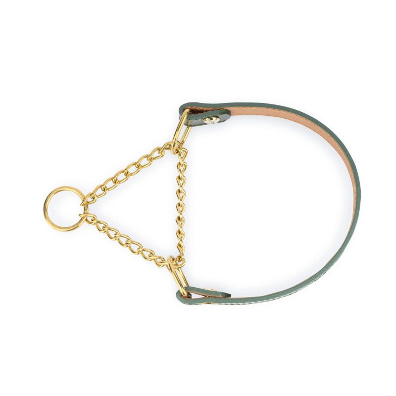 green dog collar gold chain martingale 6