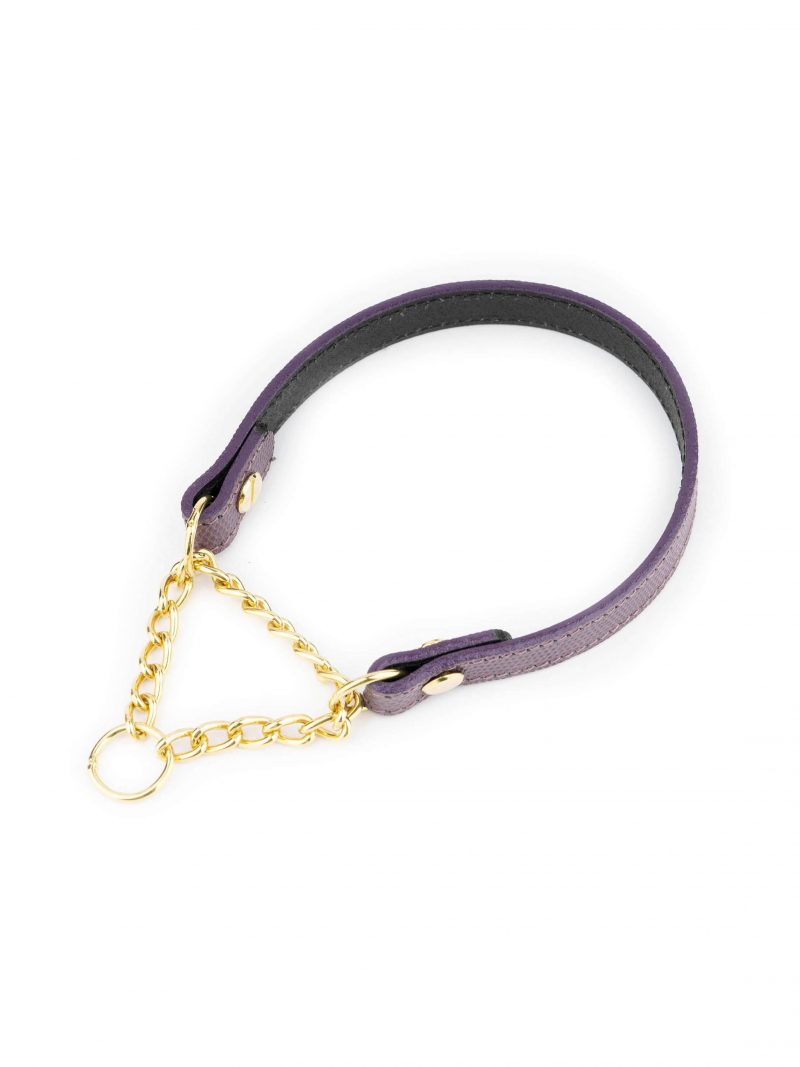 leather purple dog collar gold martingale chain 1