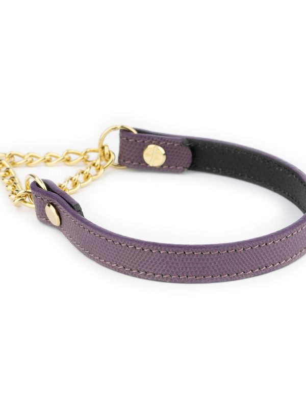 leather purple dog collar gold martingale chain 2