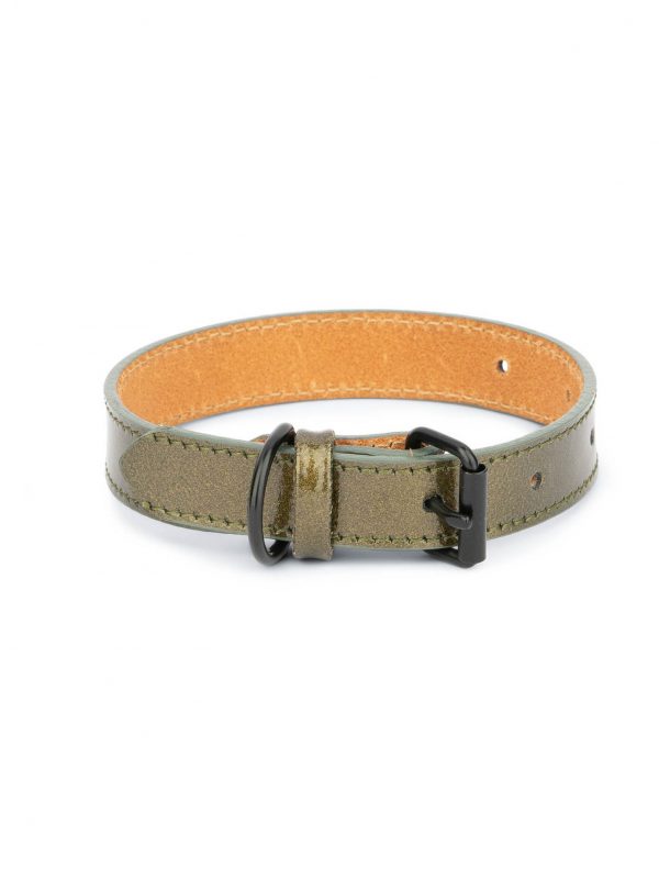 luxury green dog collar for small dogs 1