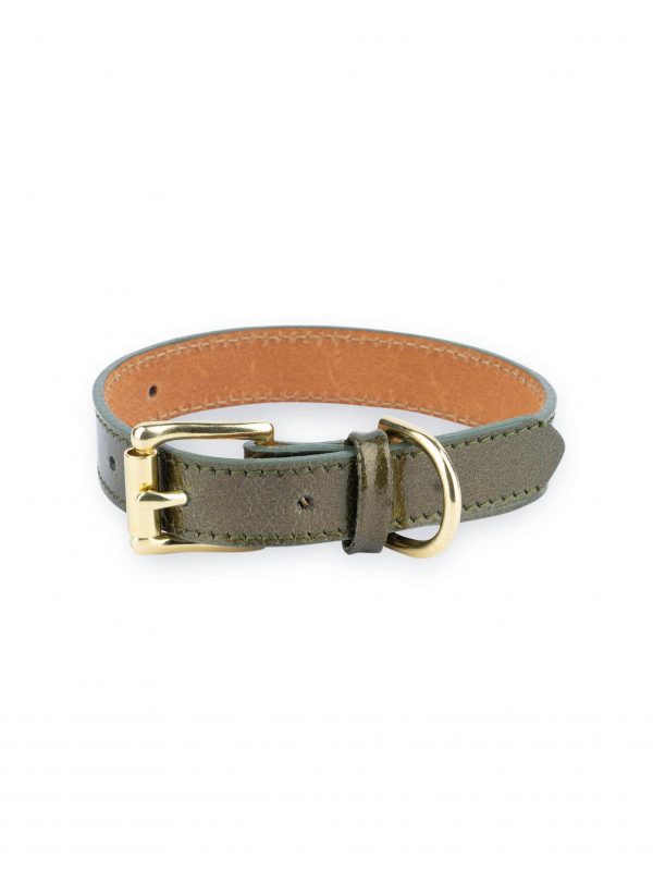 luxury green leather dog collar with brass buckle 1