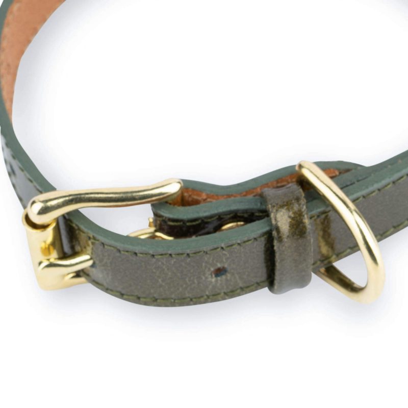 luxury green leather dog collar with brass buckle 3
