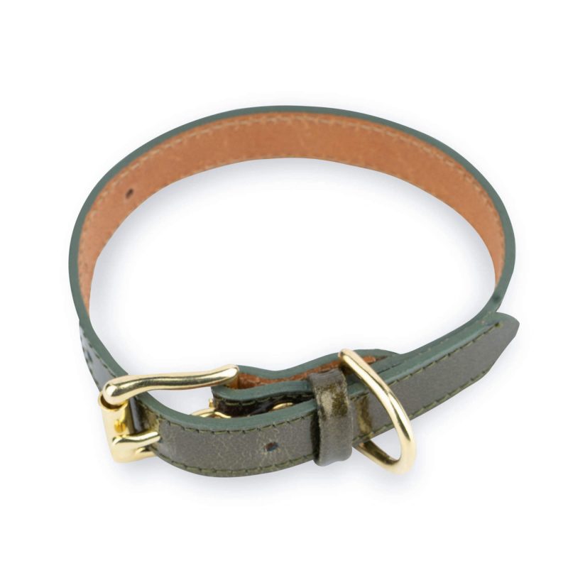 luxury green leather dog collar with brass buckle 4