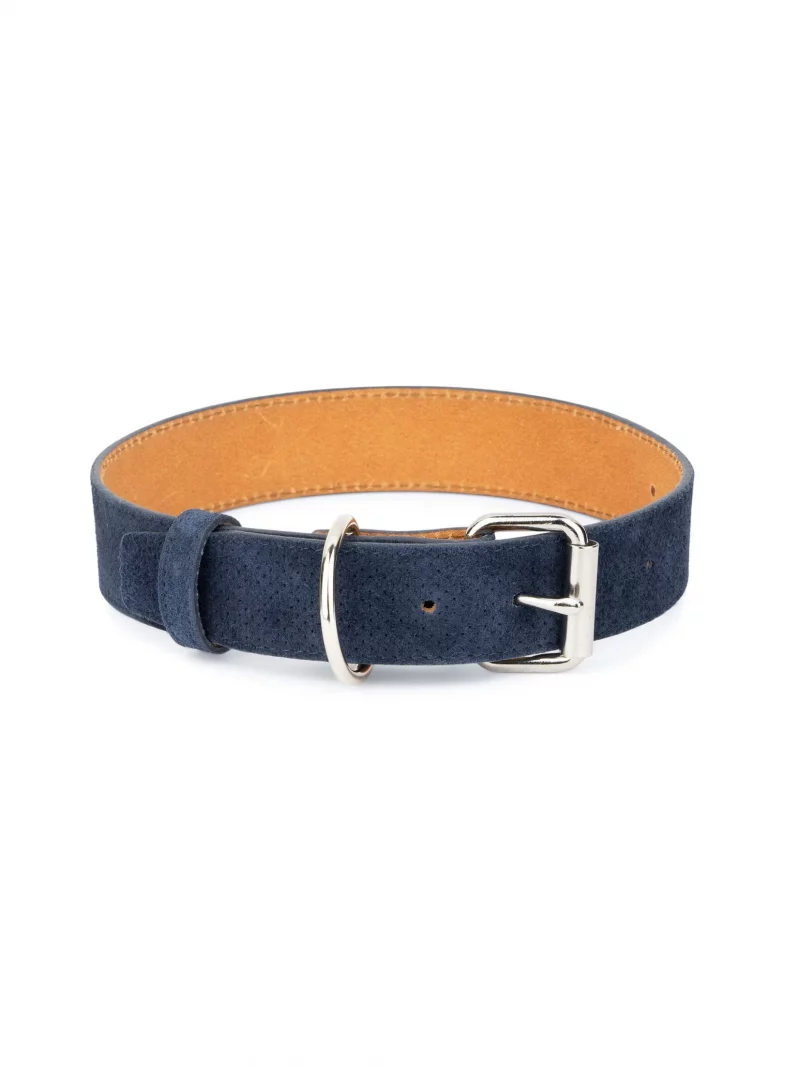 perforated blue suede leather dog collar 1