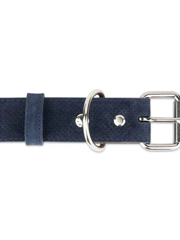 perforated blue suede leather dog collar 2