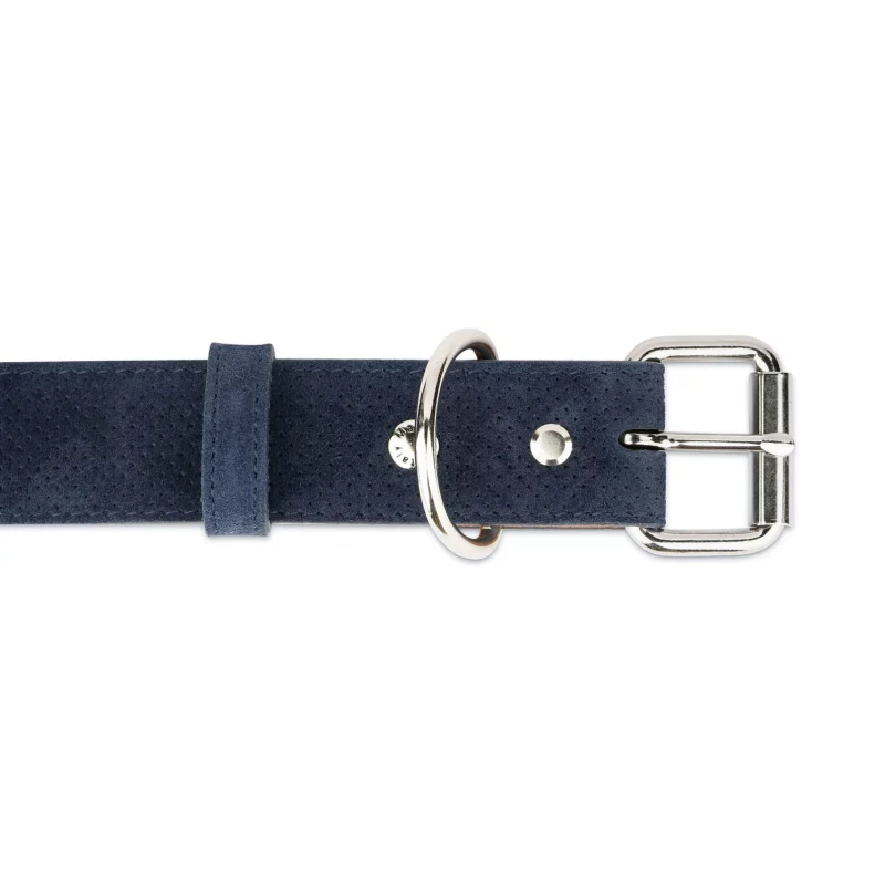 perforated blue suede leather dog collar 2