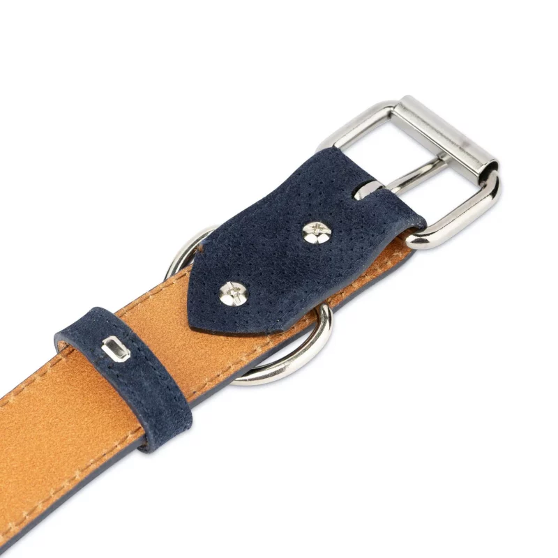 perforated blue suede leather dog collar 3