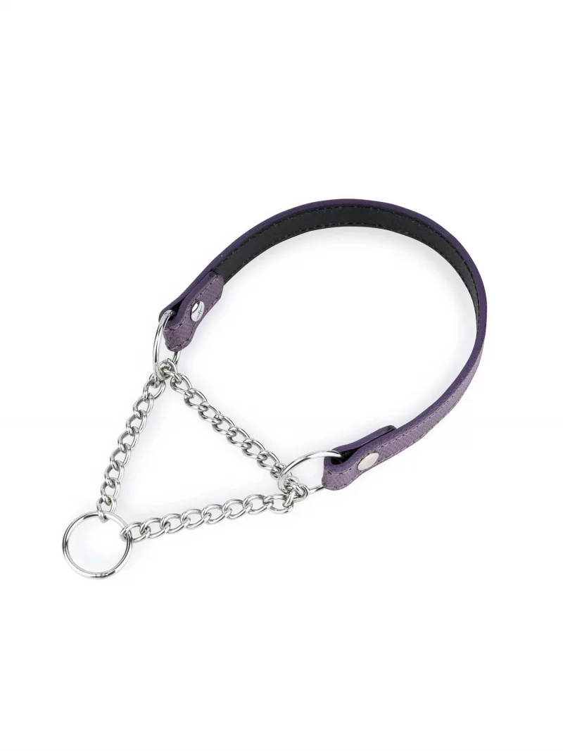 purple leather dog collar with silver martingale chain 1