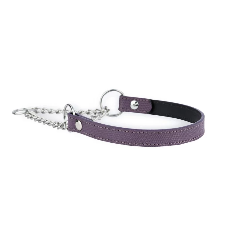 purple leather dog collar with silver martingale chain 4