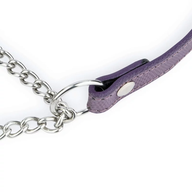 purple leather dog collar with silver martingale chain 6