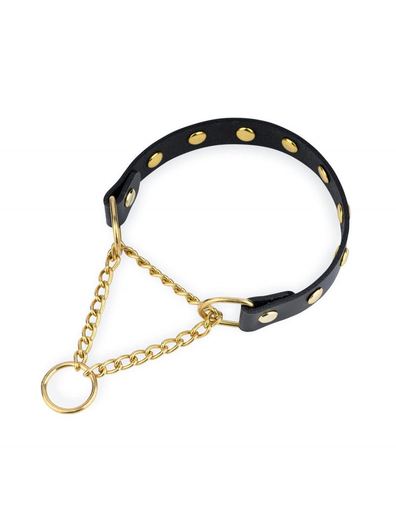 studded dog collar martingale gold chain and rivets 1