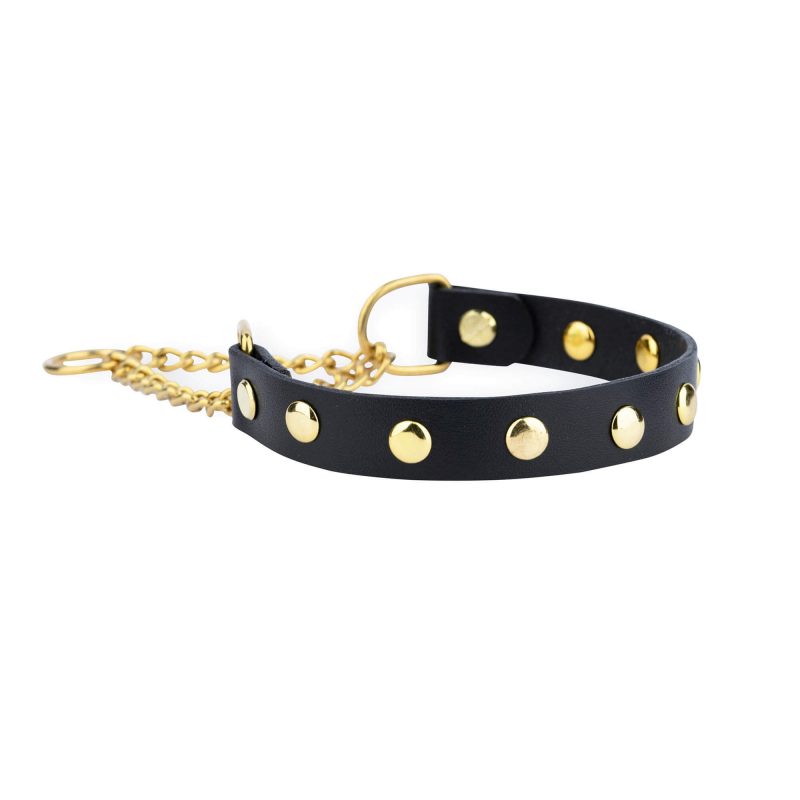 studded dog collar martingale gold chain and rivets 4