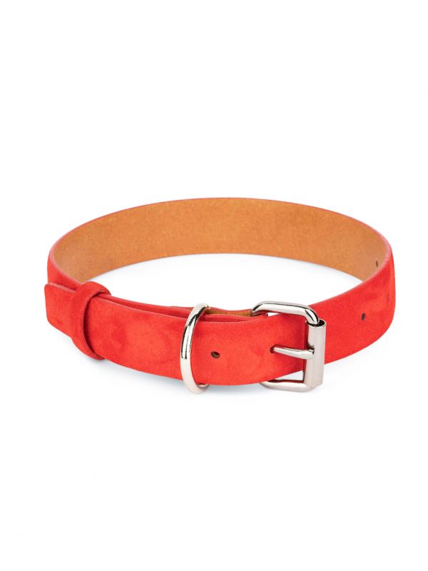 suede red leather dog collar silver buckle 1