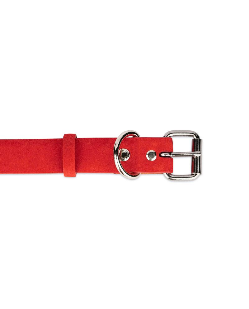 suede red leather dog collar silver buckle 2