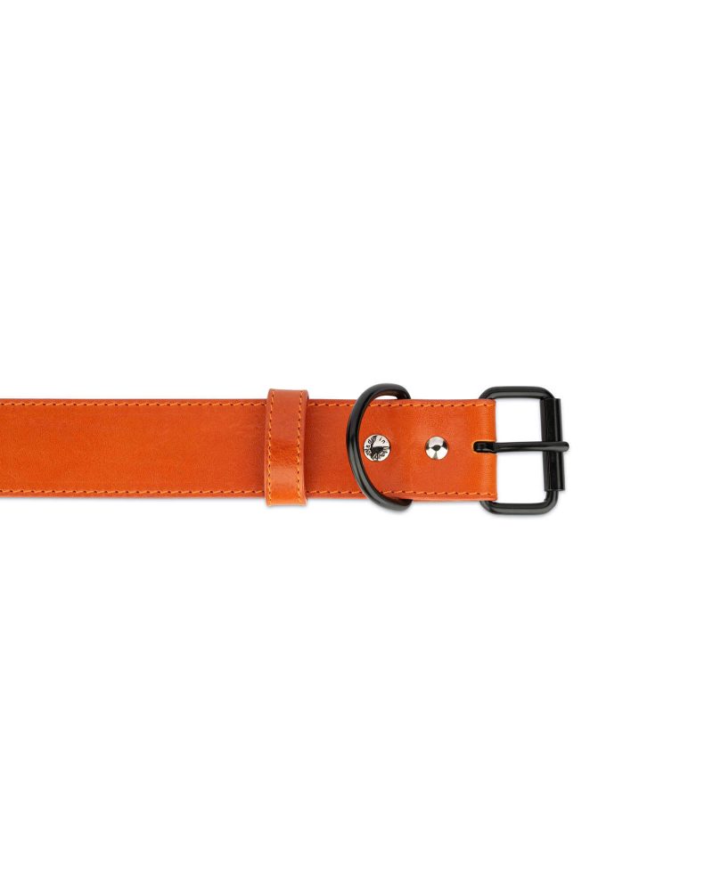 tan leather dog collar with black buckle 2