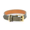 unique green leather dog collar with gold buckle 1